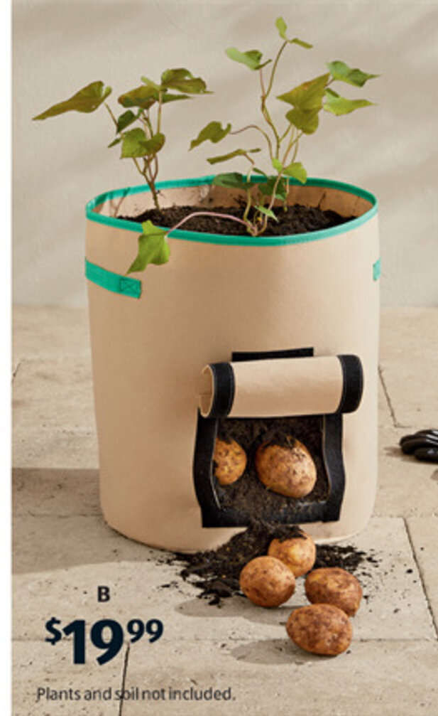 Potato Grow Bag with Seeds offer at ALDI