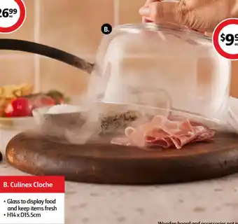 Coles B. Culinex Cloche offer
