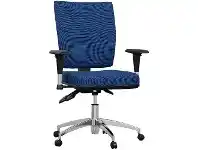 Officeworks Pago Flash II Deluxe Alloy Base Chair Royal Navy offer