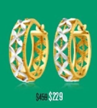 Shiels 9CT Gold Earrings offer