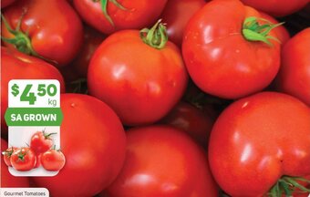 Foodland Gourmet Tomatoes offer