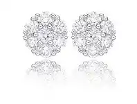 Grahams Jewellers Memoire 18ct White Gold 1/2 Carat Diamond Floral Style Stud Earrings offer