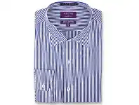 David Jones Ganton George Stripe Shirt - City Tailored Fit offer
