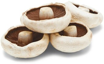 Australian Mushroom Flat Large Loose