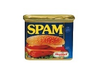 Woolworths Spam 340g offer