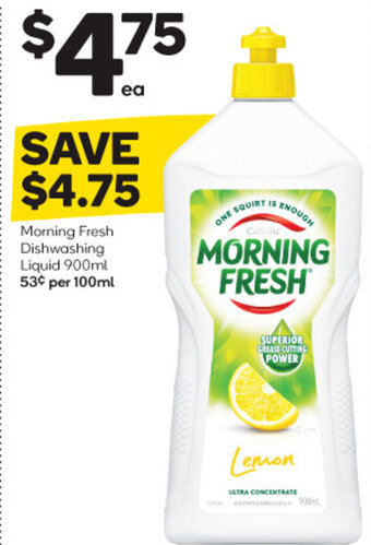 Woolworths Morning Fresh Dishwashing Liquid 900ml offer