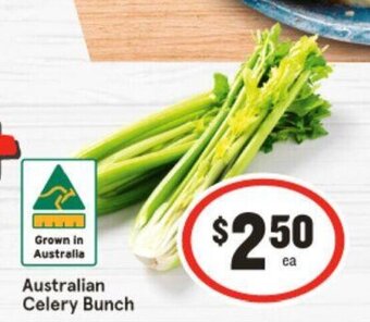 IGA Australian Celery Bunch offer