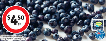 Coles Australian Blueberries 125g Punnet offer