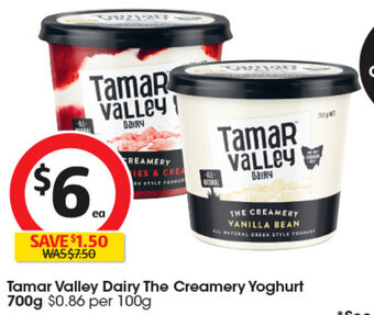 Coles Tamar Valley Dairy The Creamery Yoghurt 700g offer