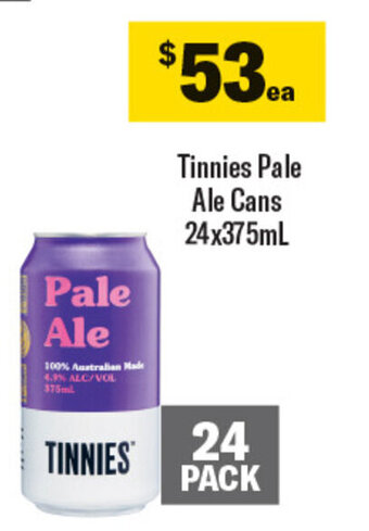 Coles Tinnies Pale Ale Cans 24x375mL offer