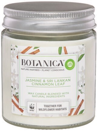 Coles Botanica by airwick scented candle 1 each offer