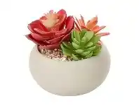 Botanica Artificial Succulent Garden 13cm