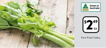 Foodworks Farm Fresh Celery offer