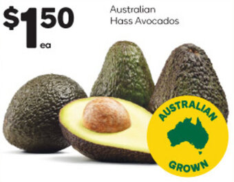 Woolworths Australian Hass Avocados offer