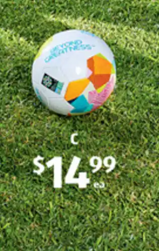 C FIFA Women's World Cup Soccer Ball