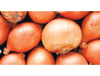 Foodworks Loose Brown Onions offer