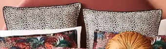 Spotlight Logan & mason casablanca european pillowcase offer