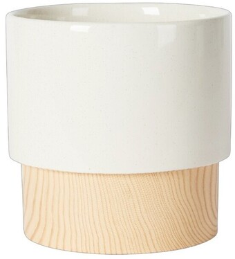 Spotlight Ceramic planter pot offer