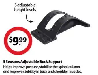 Coles 5 Seasons Adjustable Back Support offer