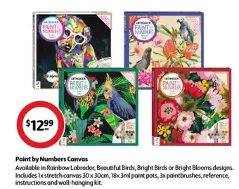 Coles Paint by Numbers Canvas offer
