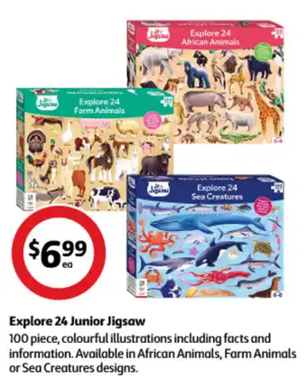 Explore 24 Junior Jigsaw