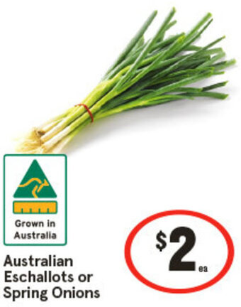 IGA Australian Eschallots or Spring Onions offer