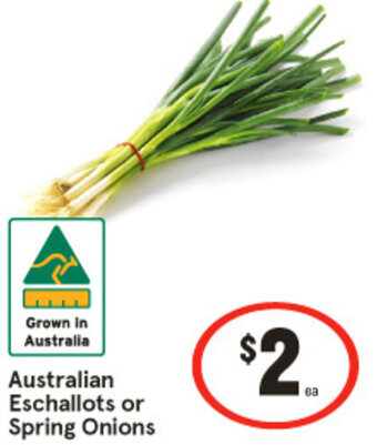 IGA Australian Eschallots or Spring Onions offer