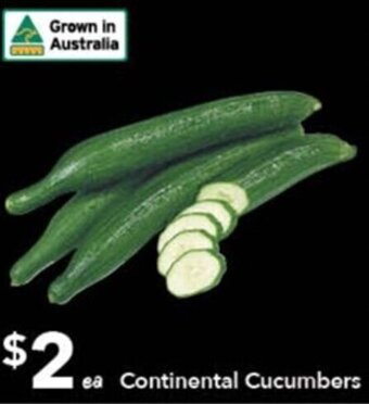 Ritchies Continental Cucumbers offer