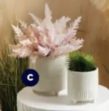 Spotlight C. Speck Planter Pot offer
