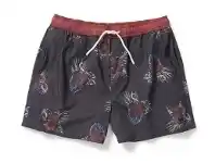 BIG W Wave Zone Mens Heritage Shorts with Repreve Recycled Polyester Sizes S-3XL - Charcoal offer