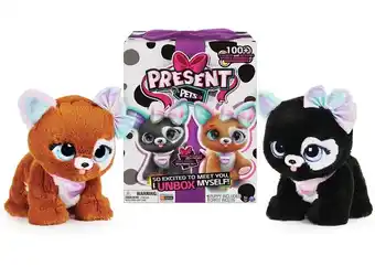 BIG W Present Pets Rainbow Glitter Interactive Pets offer