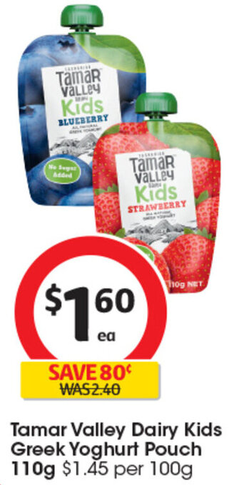 Coles Tamar Valley Dairy Kids Greek Yoghurt Pouch 110g offer