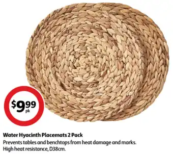 Coles Water Hyacinth Placemats 2 Pack offer