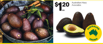 Woolworths Australian Hass Avocados offer