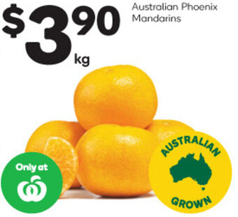 Woolworths Australian Phoenix Mandarins offer