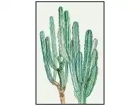 LivingStyles Watercolour Cactus Framed Canvas Wall Art, Cereus, 90cm offer