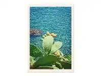 LivingStyles Coastline Prickly Pear Framed Wall Art Print, 60cm offer