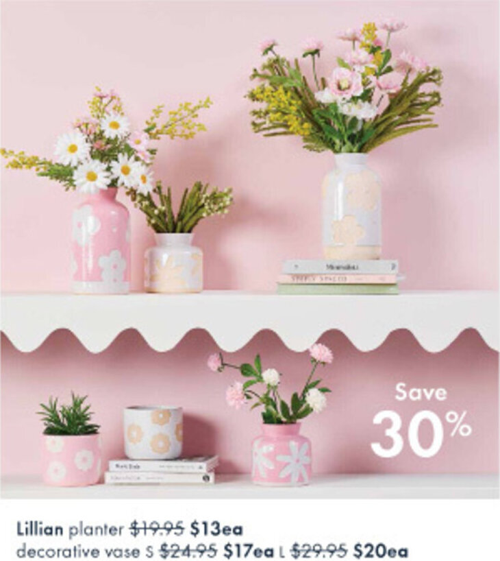 Pillow Talk Lillian planter offer