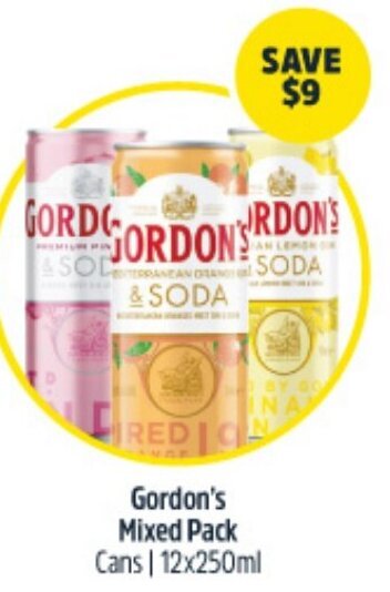 BIG W Gordon's Mixed Pack Cans | 12x250ml offer