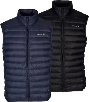 Anaconda Cederberg men’s super goose ii down vest offer
