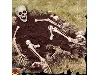 The Party People Shop Yard Decoration - Ground Breaker, Skeleton offer