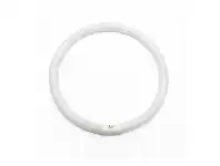 LivingStyles Circular T9 Fluorescent Tube, 40W, 3000K offer