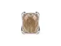 Bevilles Jewellery Gina Liano Sunkissed Ring offer