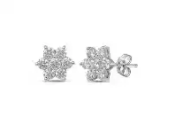 Bevilles Jewellery Star Stud Earrings with 1/2ct of Diamonds in 9ct White Gold offer