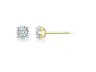 Bevilles Jewellery 9ct Yellow Gold Diamond Set Earrings offer