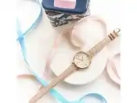 Bevilles Jewellery Fossil Ladies Roman Numeral Watch Model-ES3487 offer