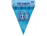 The Party People Shop Flag Bunting - Pennant, Happy Birthday Blue Glitz 100 offer