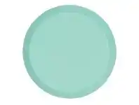 The Party People Shop Plates - Dinner, Round Paper Mint Green 10 pk offer