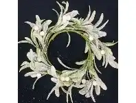 The Party People Shop Christmas Ornament - Mistletoe, Assorted offer