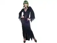 The Party People Shop Adult Costume - Witch Dress offer
